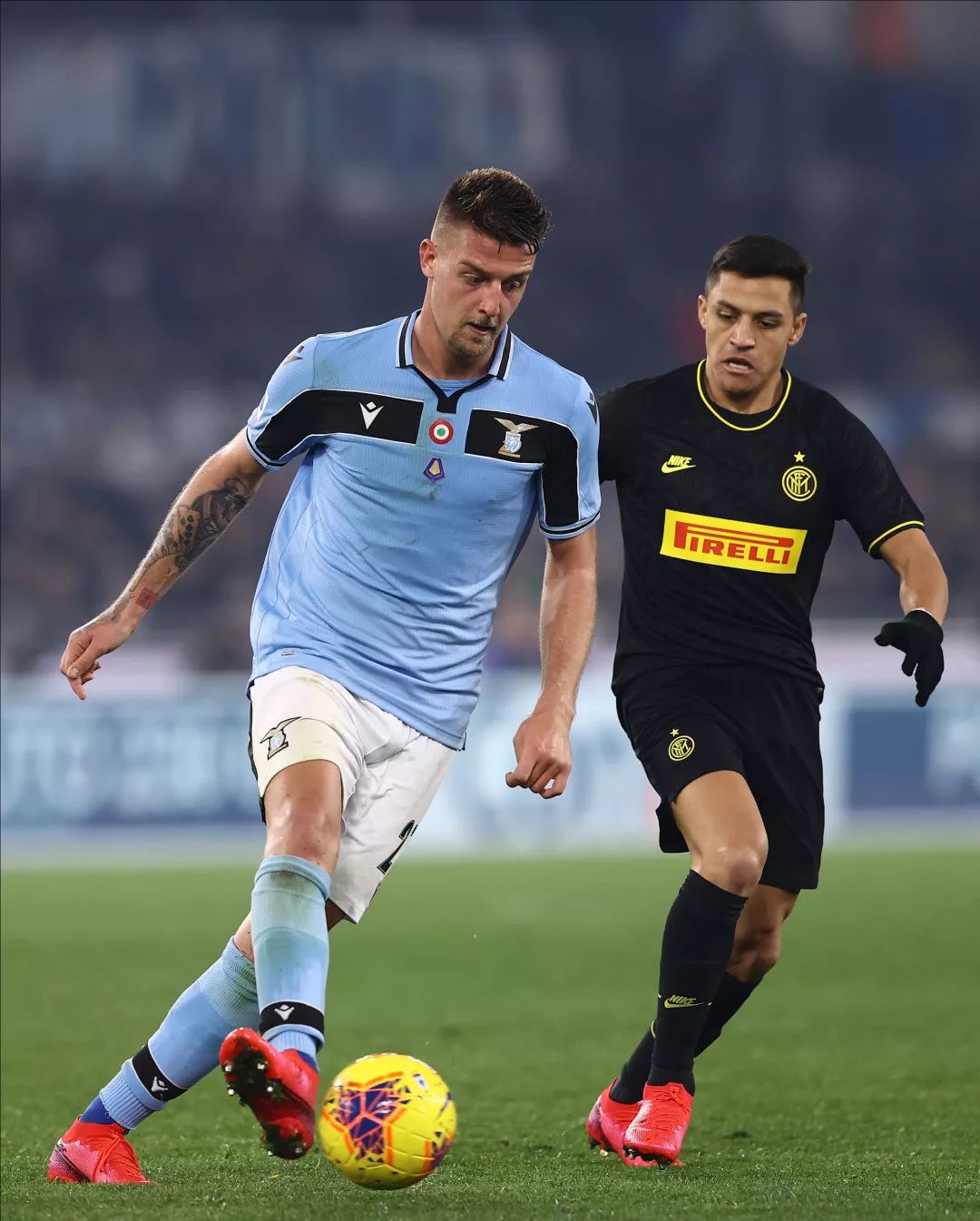 本届赛事的 本届赛事的